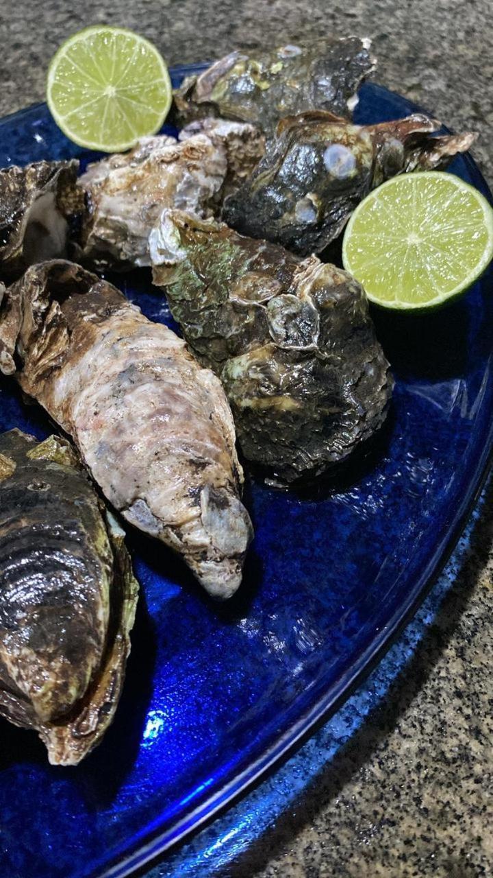 Pousada Marinheiro Sítio Exteriör bild